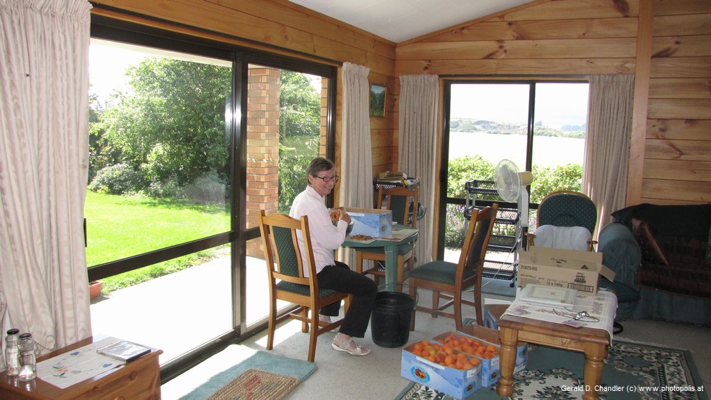 Stoning Apricots in Barbara's Living Room